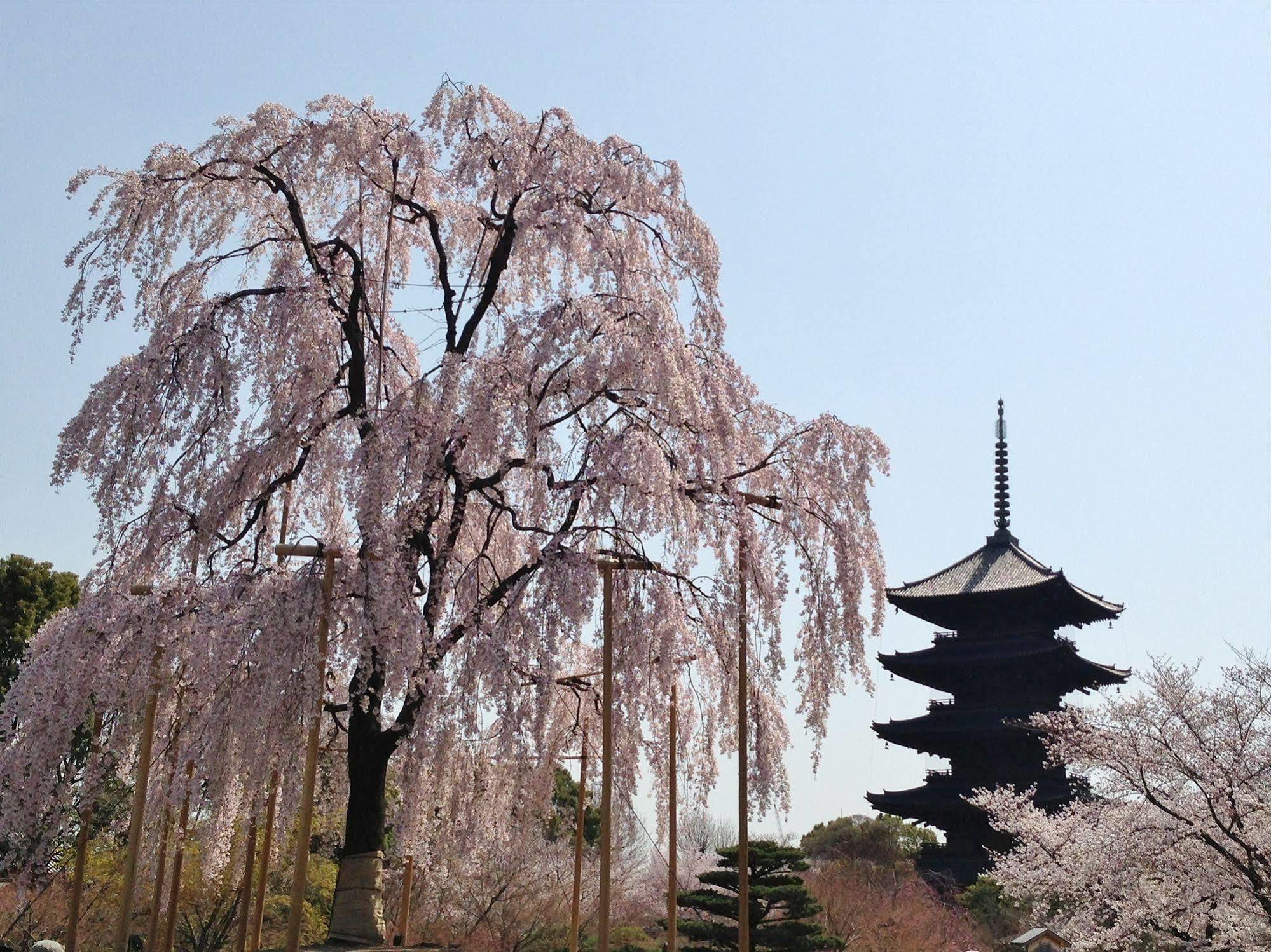 Livemax Kyoto Gojo Hotel Luaran gambar